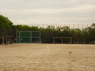 2015-6-11